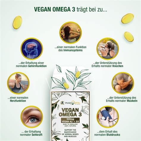 best cheap vegan omega 3|high dose vegan omega 3.